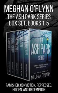 5 ebook series